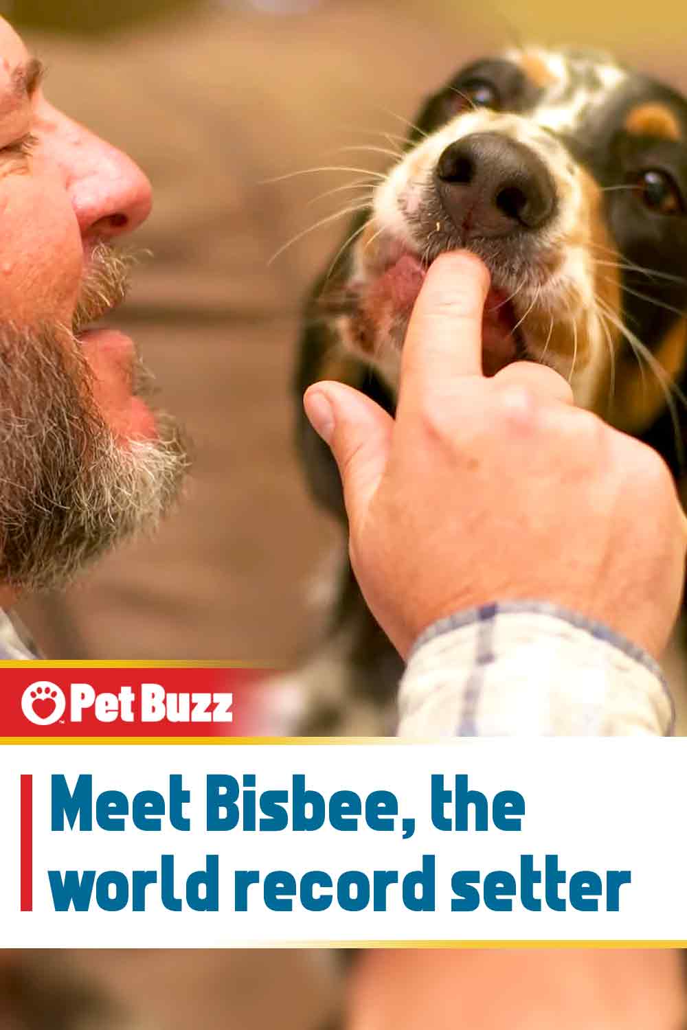 Meet Bisbee, the world record setter