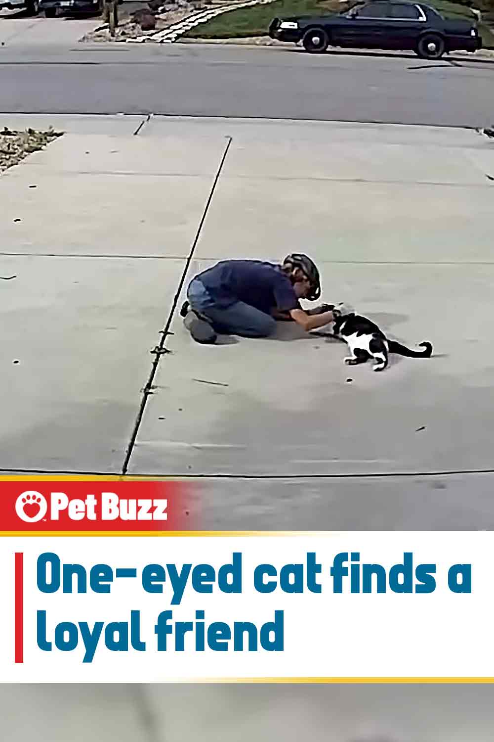 One-eyed cat finds a loyal friend