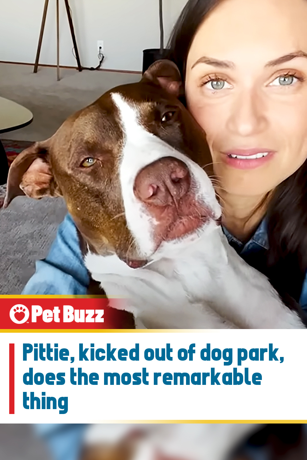 Pittie, kicked out of dog park, does the most remarkable thing