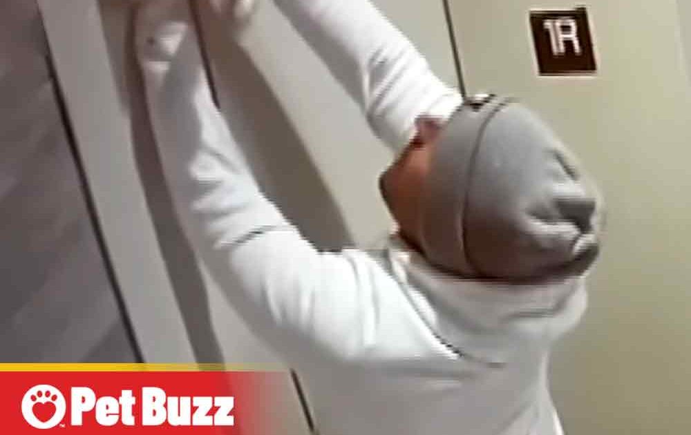 Pinterest Hidden Image