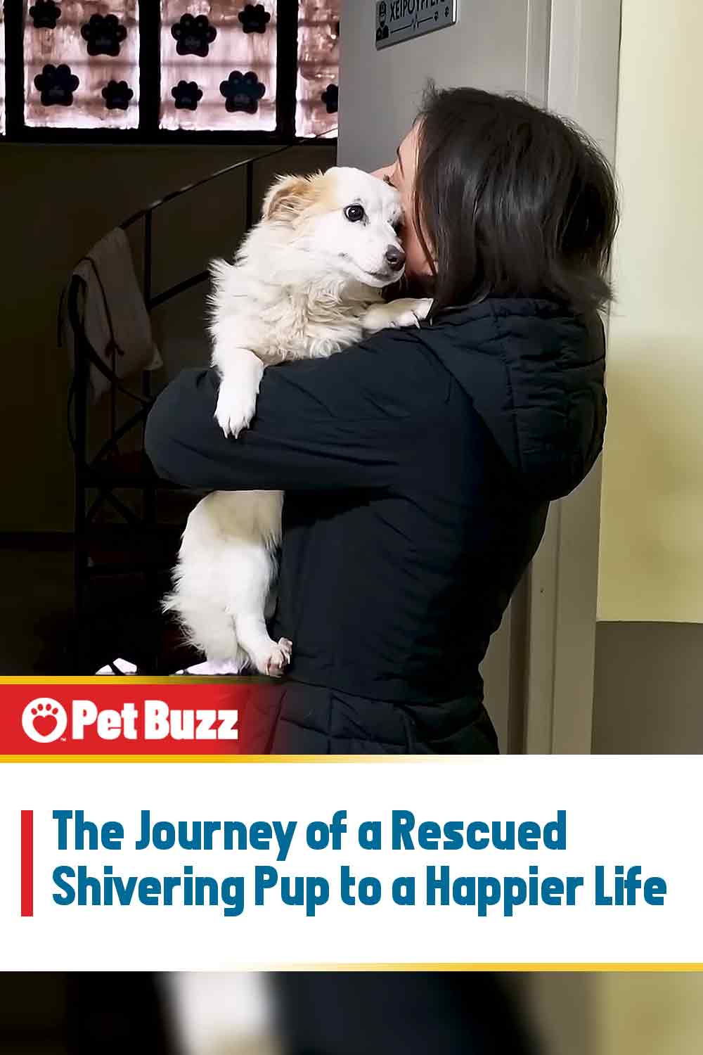 The Journey of a Rescued Shivering Pup to a Happier Life