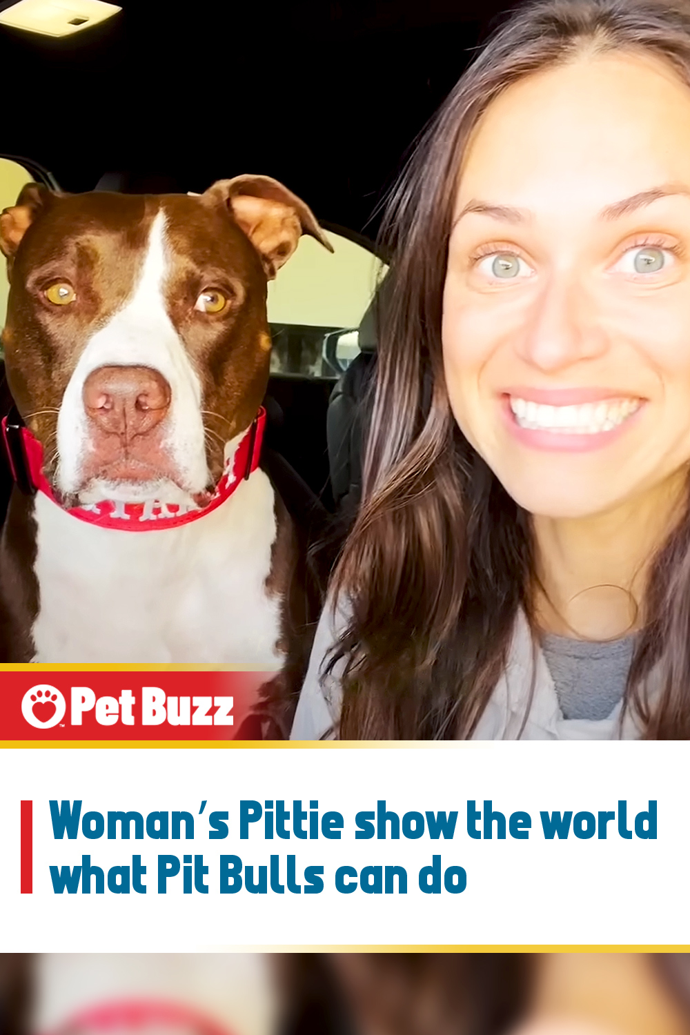 Woman’s Pittie show the world what Pit Bulls can do