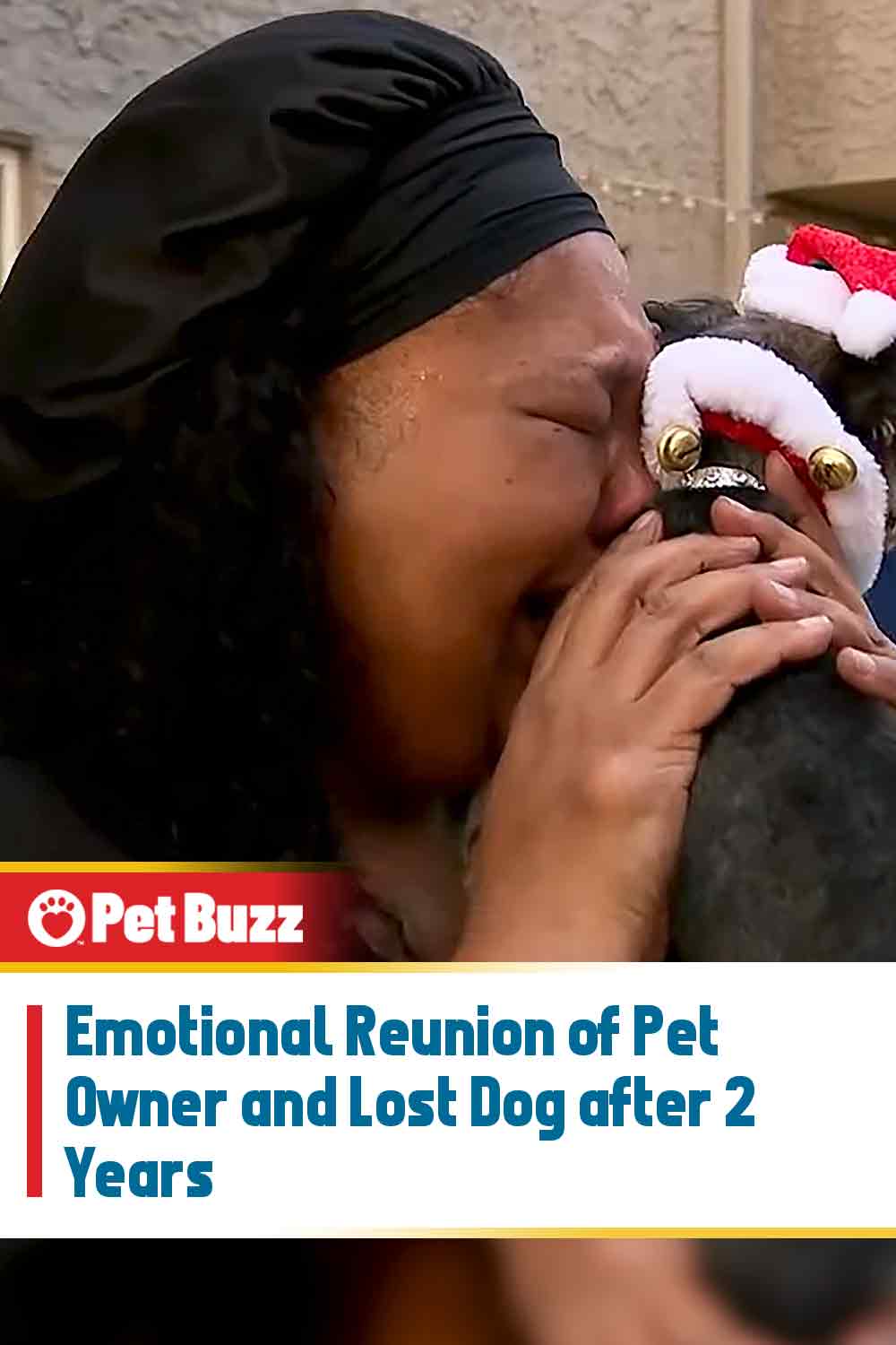 Emotional Reunion of Pet Owner and Lost Dog after 2 Years