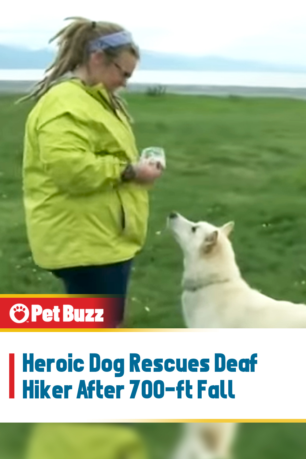 Heroic Dog Rescues Deaf Hiker After 700-ft Fall