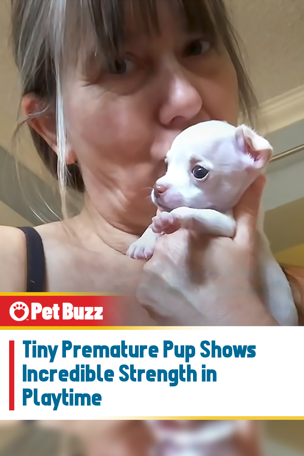 Tiny Premature Pup Shows Incredible Strength in Playtime