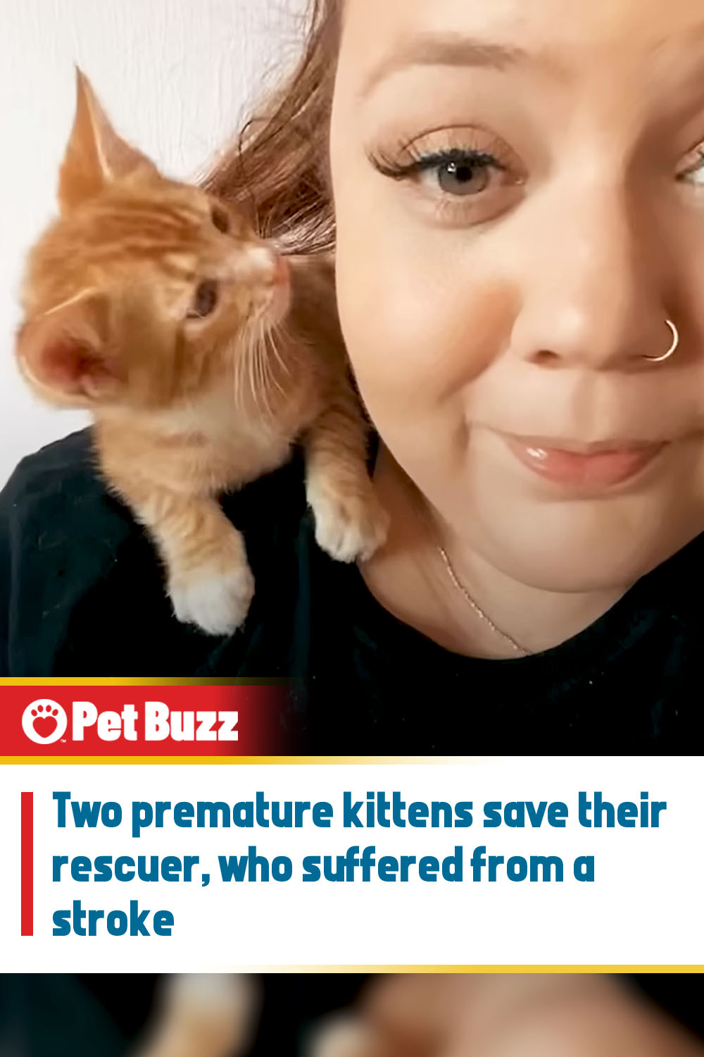 Two premature kittens save their rescuer, who suffered from a stroke