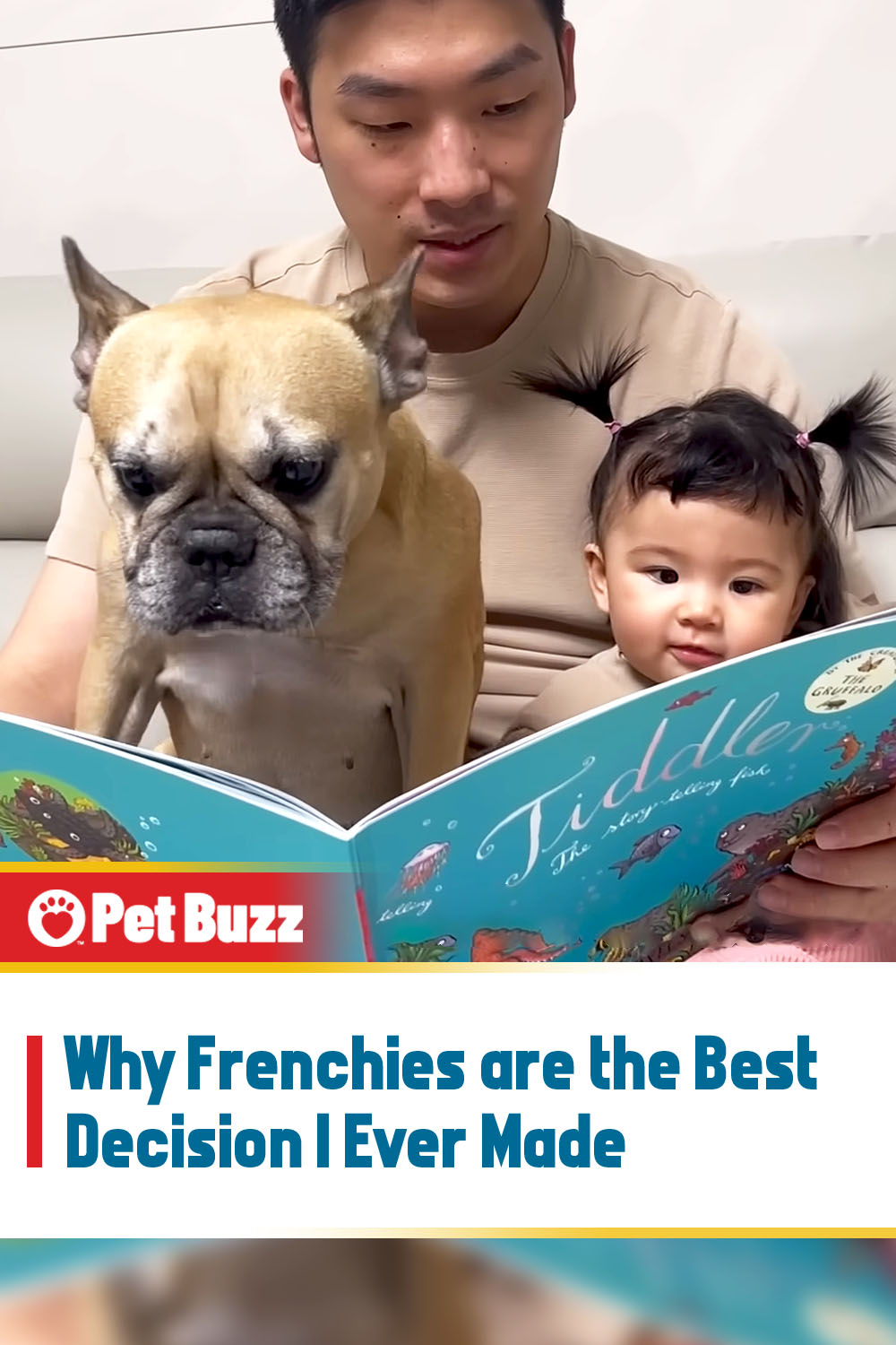 Why Frenchies are the Best Decision I Ever Made