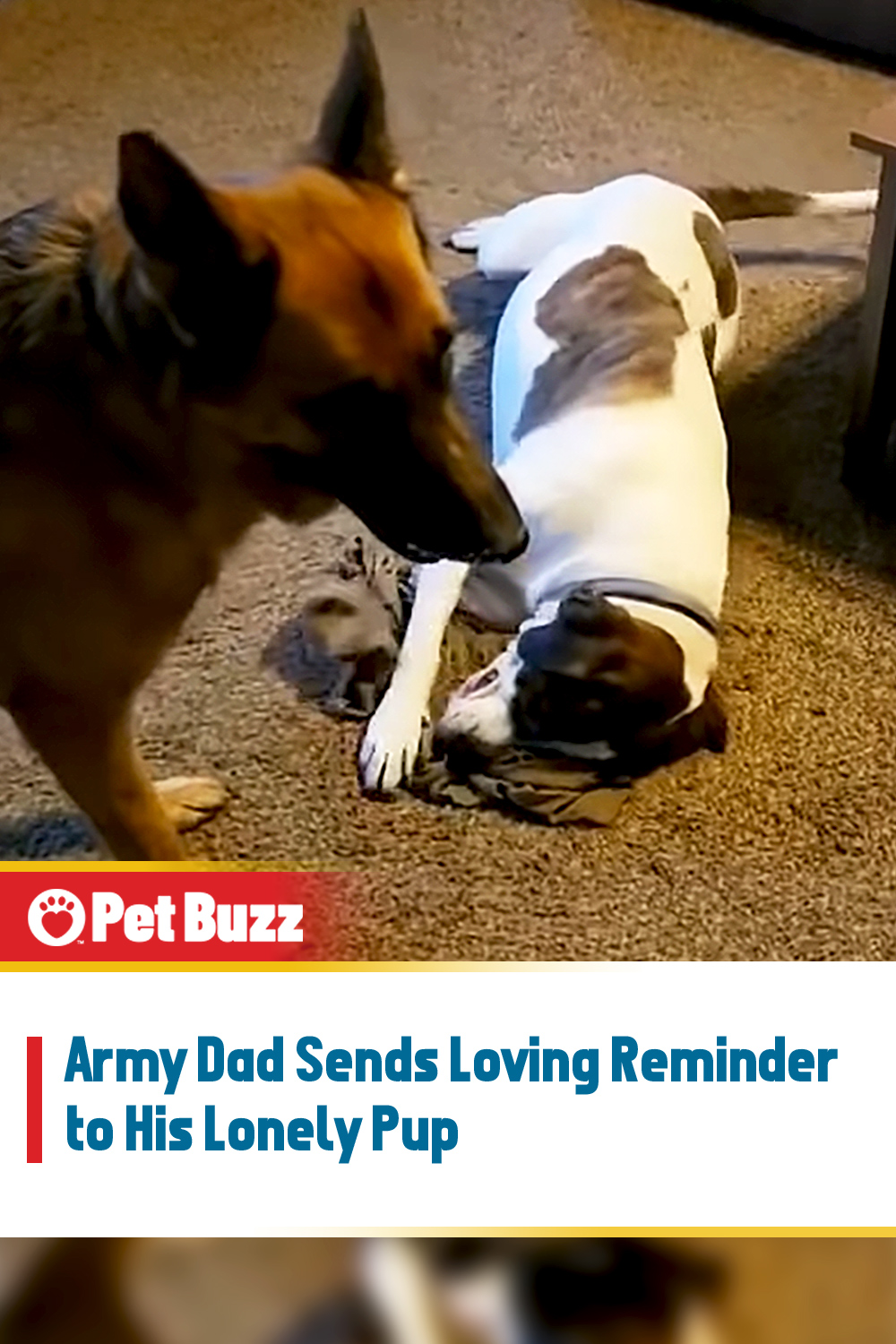 Army Dad Sends Loving Reminder to His Lonely Pup