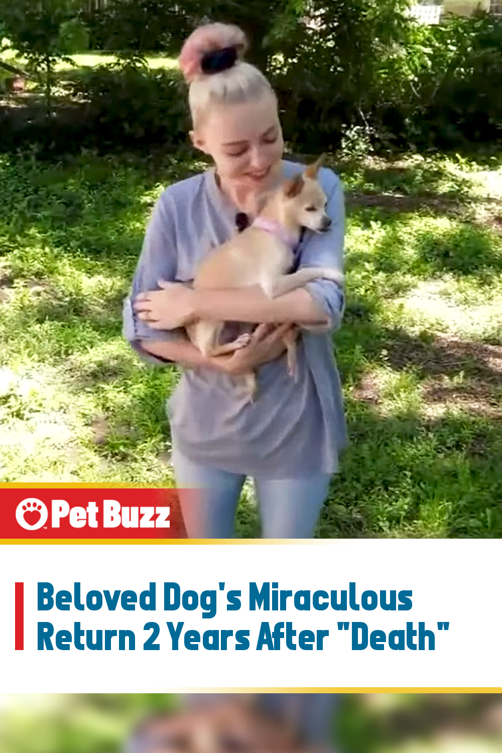 Beloved Dog\'s Miraculous Return 2 Years After \