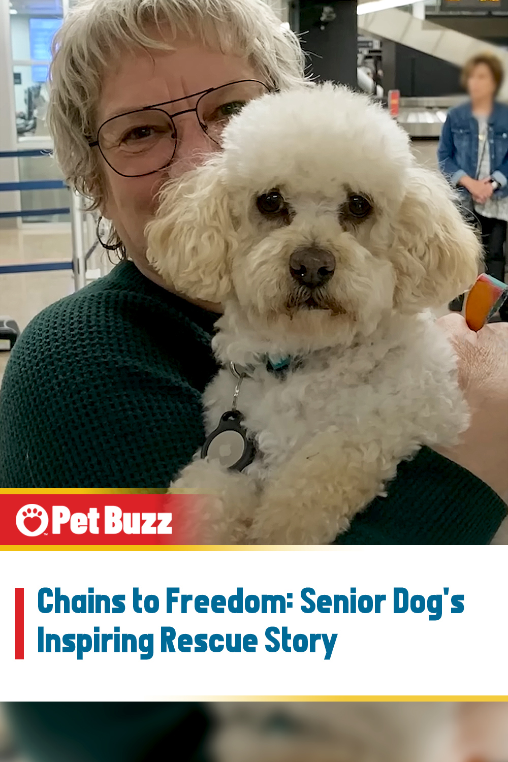 Chains to Freedom: Senior Dog\'s Inspiring Rescue Story