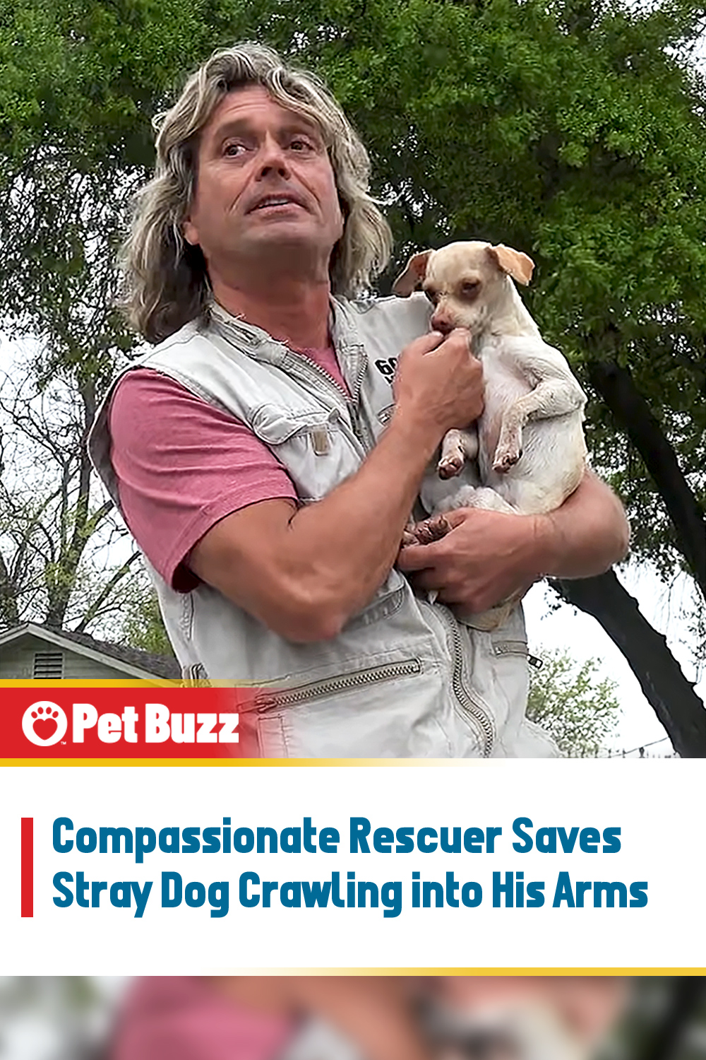 Compassionate Rescuer Saves Stray Dog Crawling into His Arms