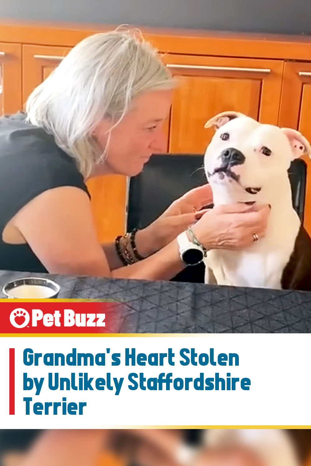 Grandma\'s Heart Stolen by Unlikely Staffordshire Terrier