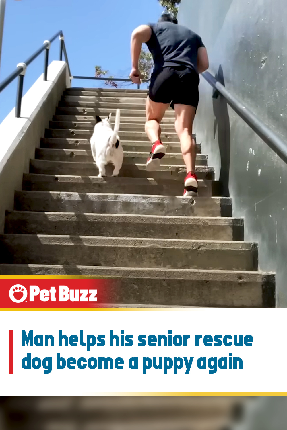 Man helps his senior rescue dog become a puppy again