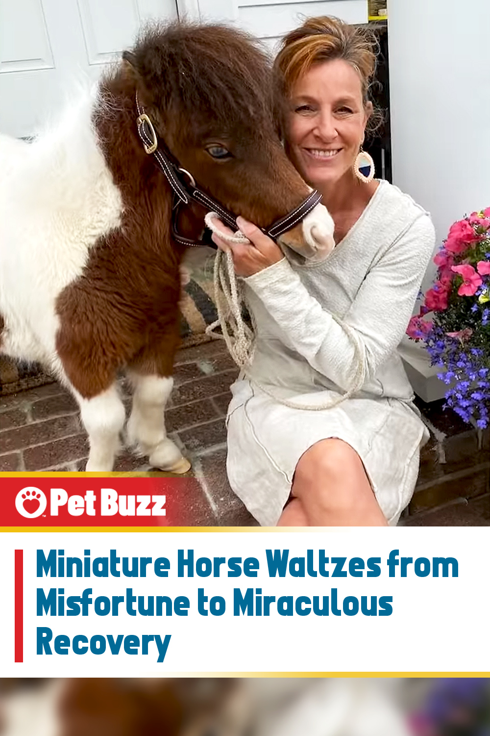 Miniature Horse Waltzes from Misfortune to Miraculous Recovery