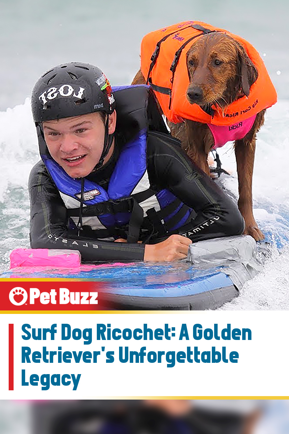 Surf Dog Ricochet: A Golden Retriever\'s Unforgettable Legacy