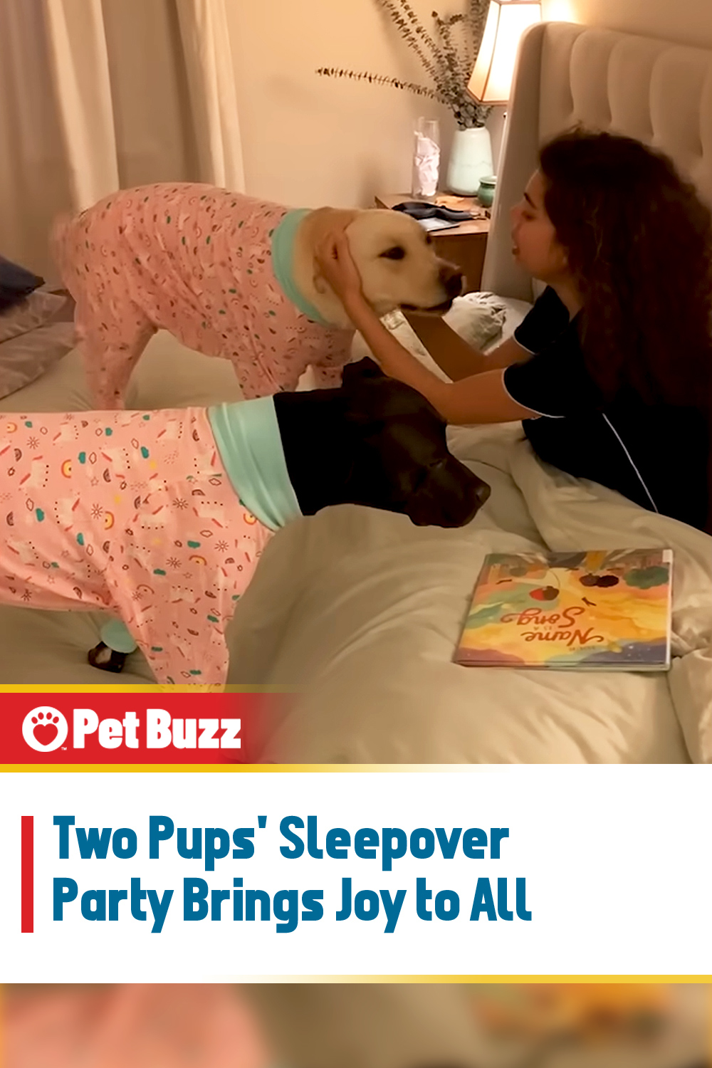 Two Pups\' Sleepover Party Brings Joy to All
