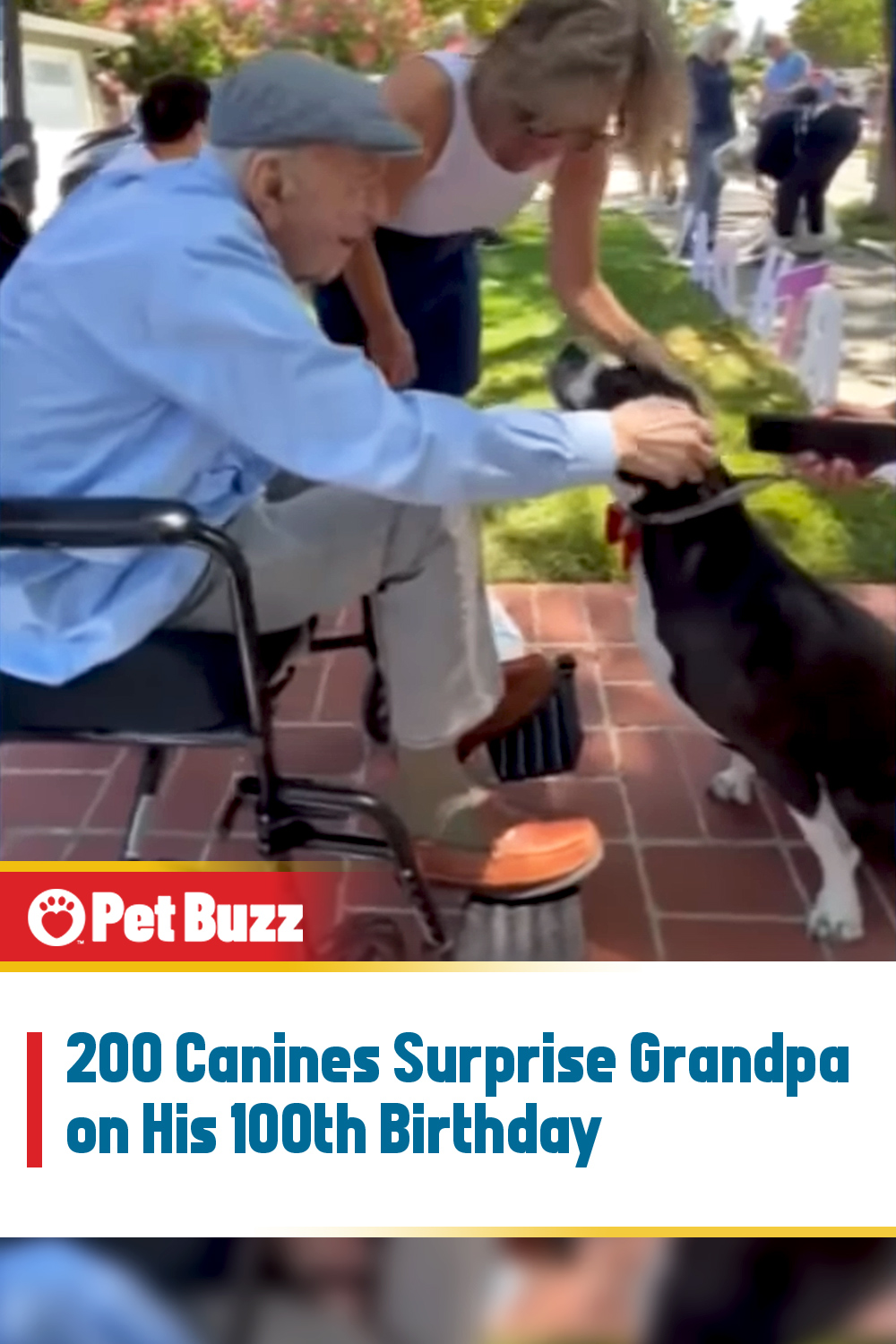 200 Canines Surprise Grandpa on His 100th Birthday