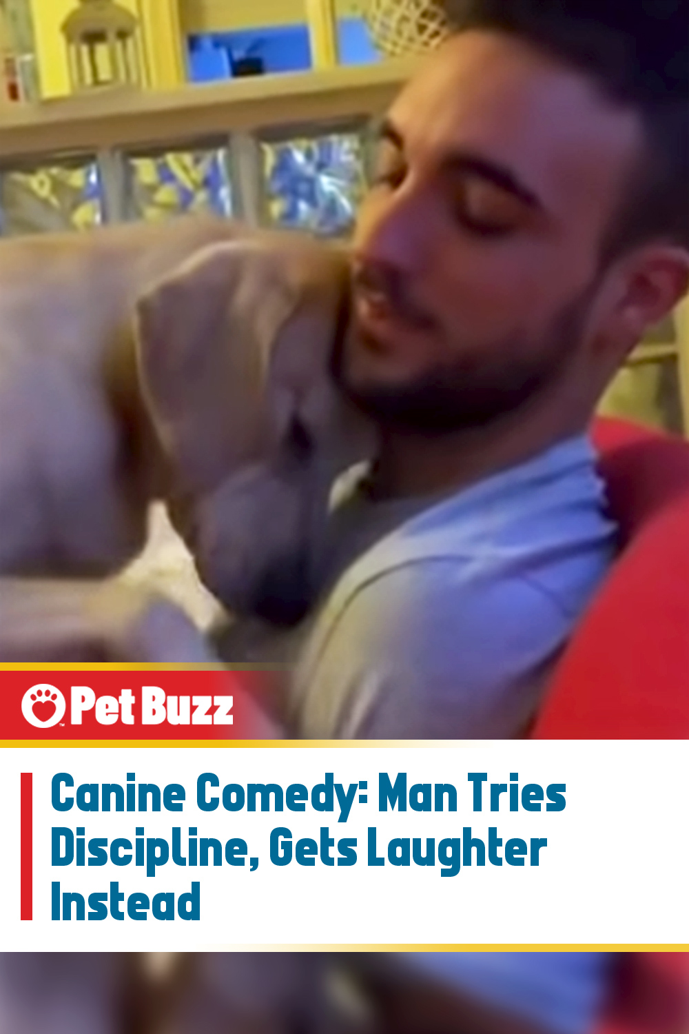 Canine Comedy: Man Tries Discipline, Gets Laughter Instead