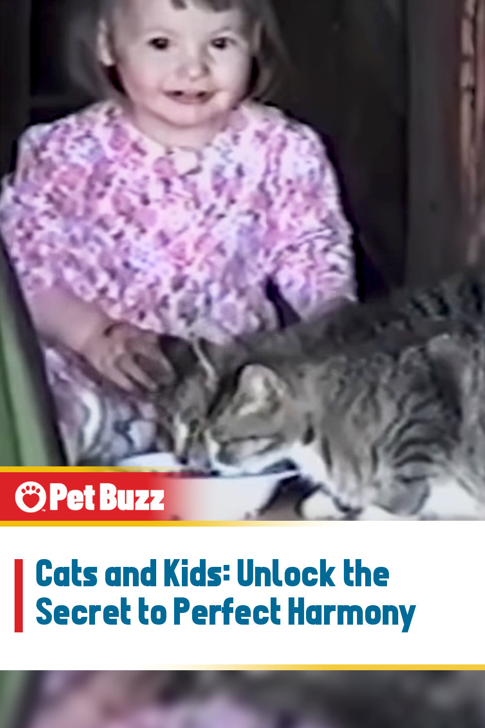 Cats and Kids: Unlock the Secret to Perfect Harmony