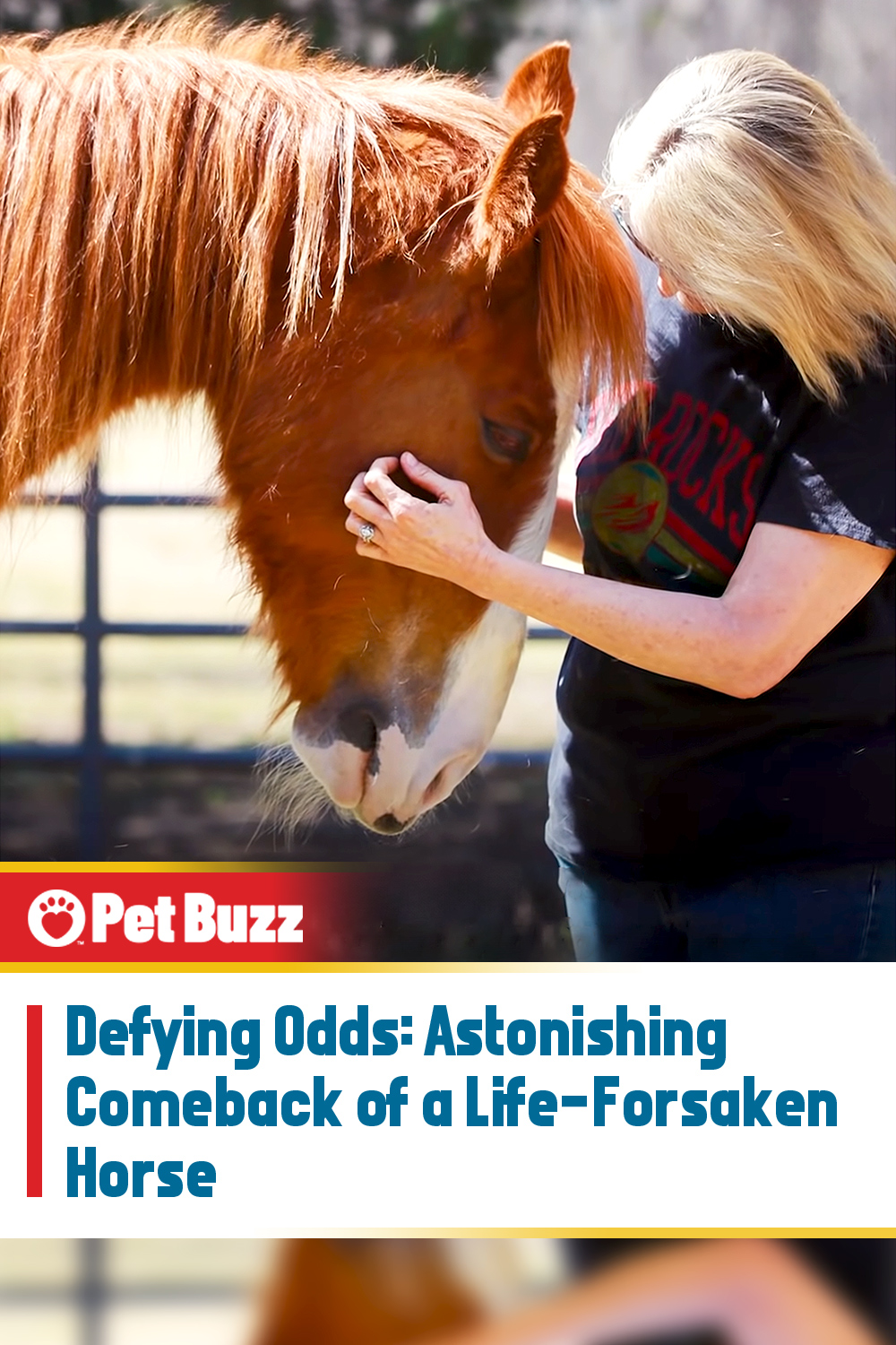 Defying Odds: Astonishing Comeback of a Life-Forsaken Horse