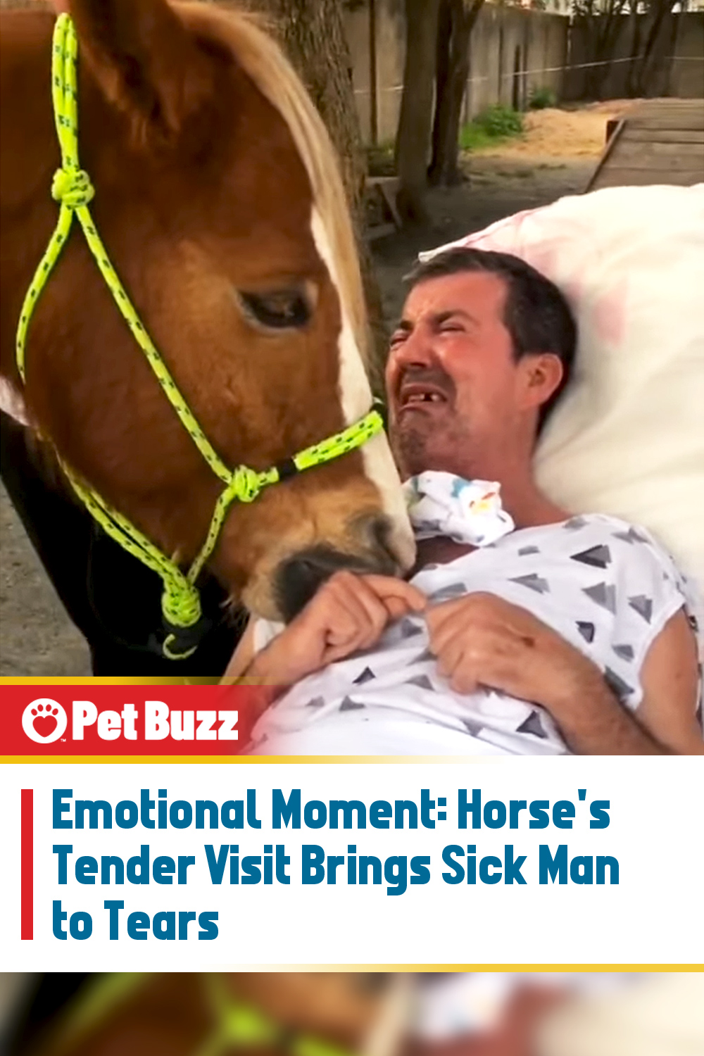 Emotional Moment: Horse\'s Tender Visit Brings Sick Man to Tears