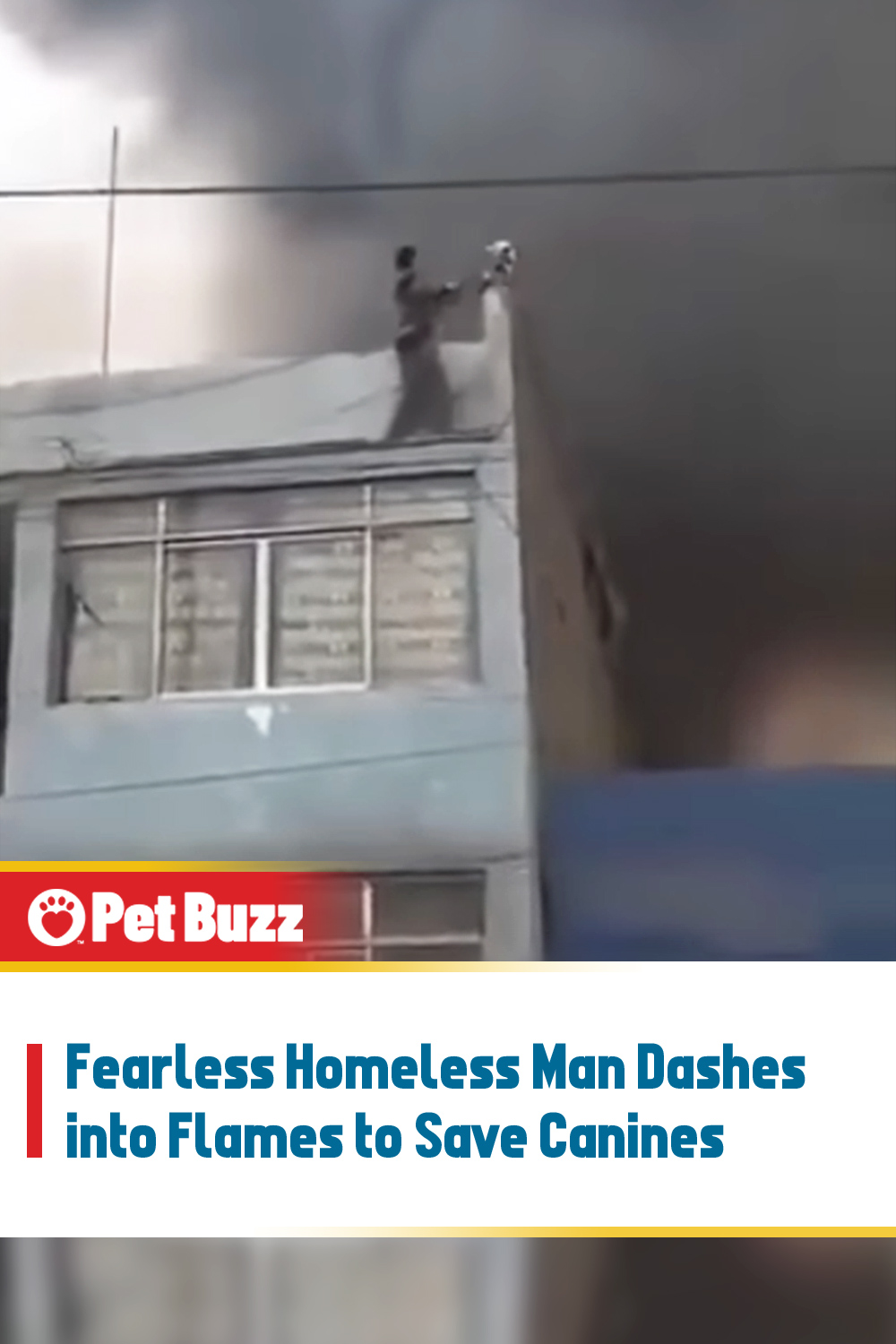 Fearless Homeless Man Dashes into Flames to Save Canines