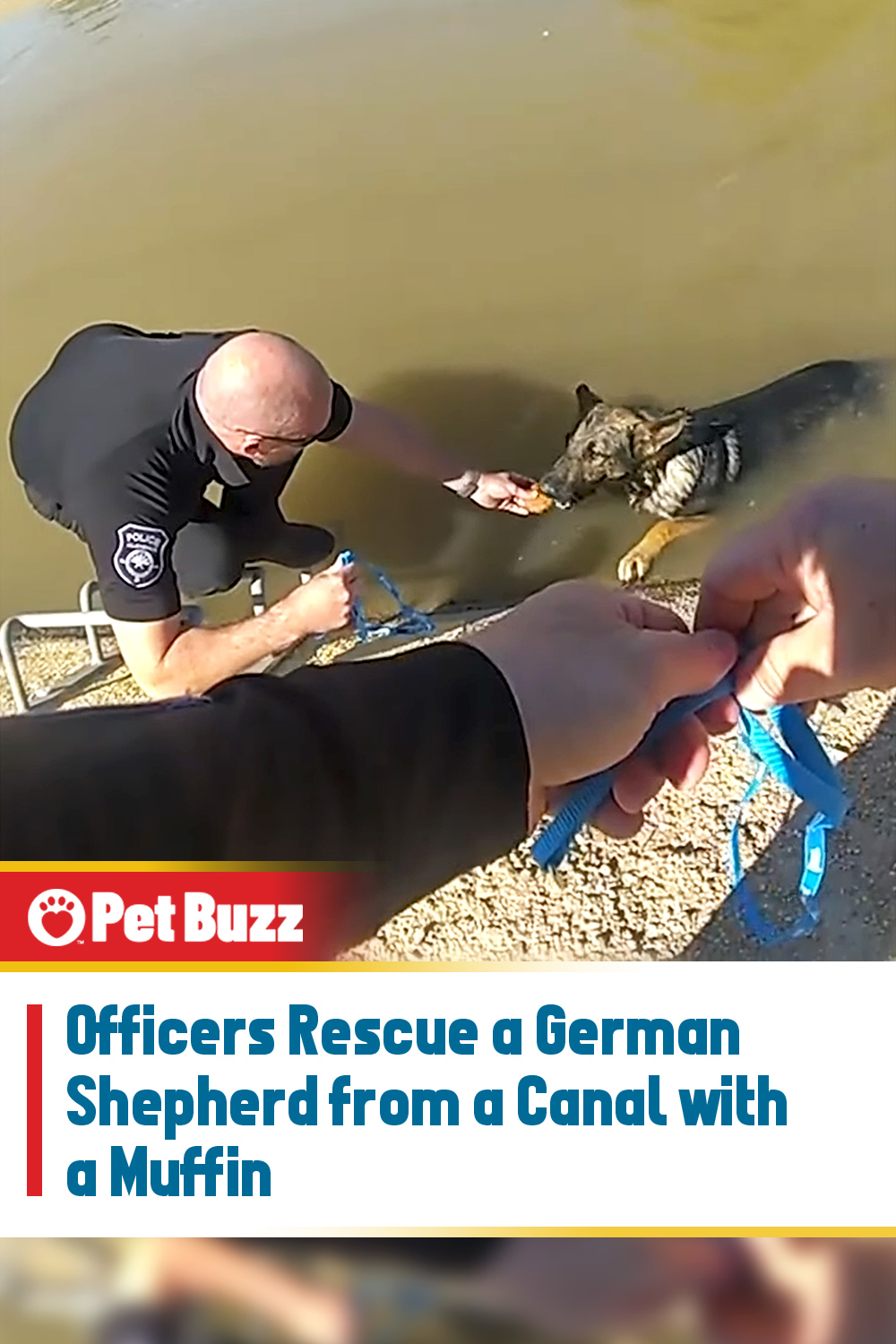 Officers Rescue a German Shepherd from a Canal with a Muffin