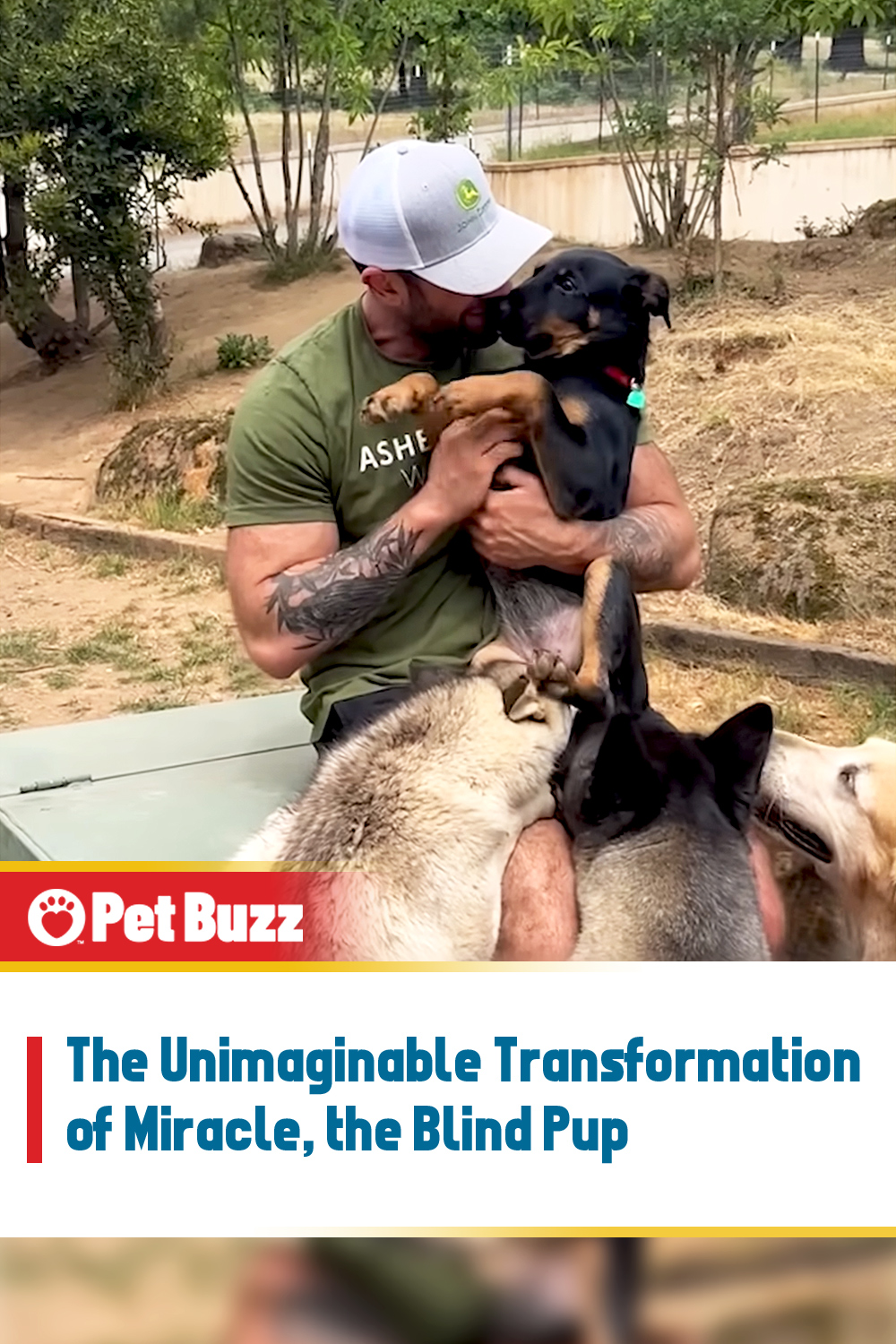 The Unimaginable Transformation of Miracle, the Blind Pup