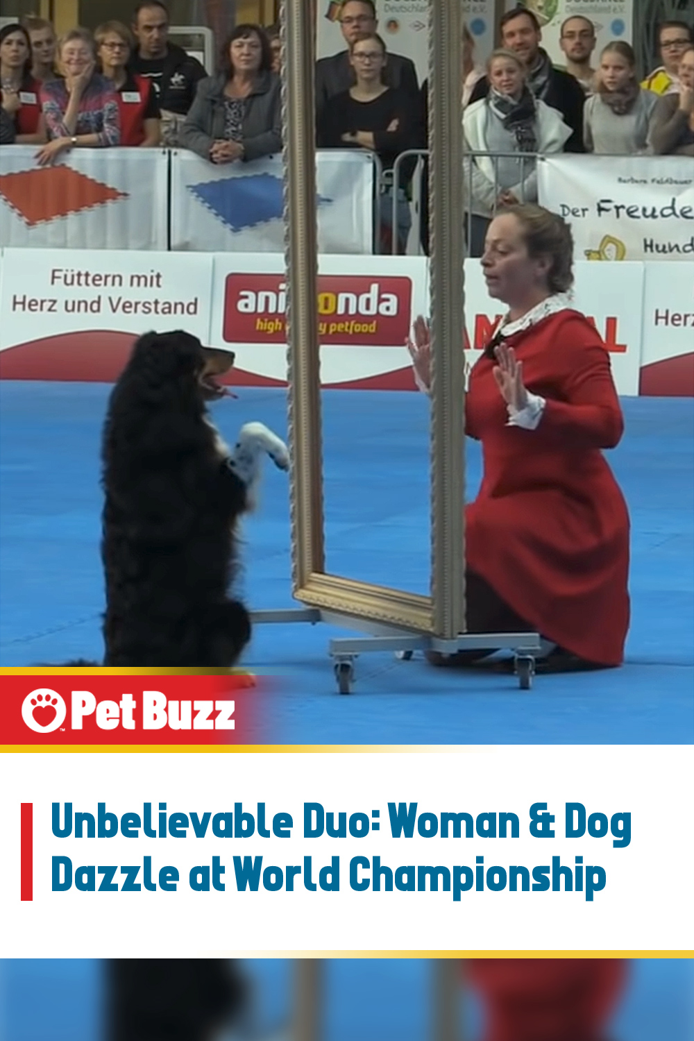 Unbelievable Duo: Woman & Dog Dazzle at World Championship