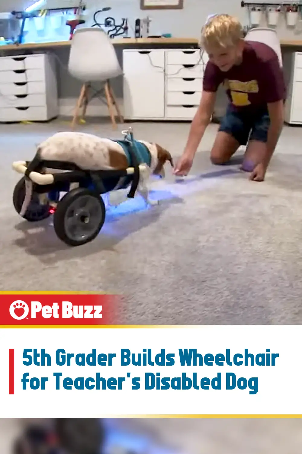 5th Grader Builds Wheelchair for Teacher\'s Disabled Dog