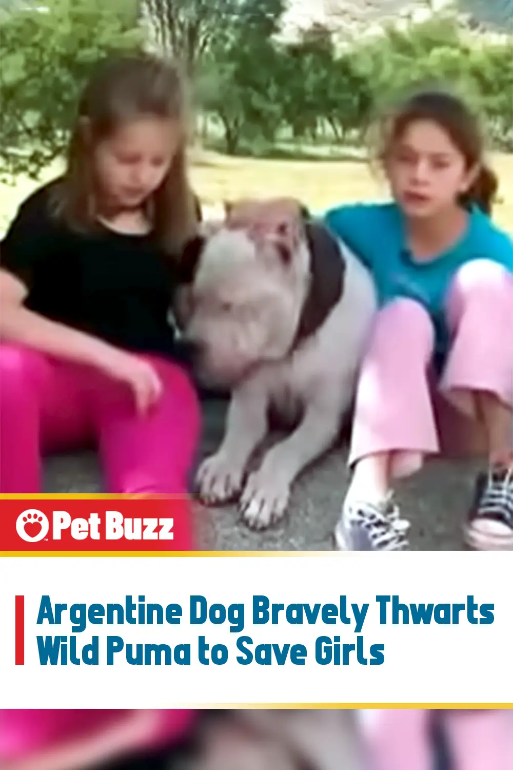 Argentine Dog Bravely Thwarts Wild Puma to Save Girls