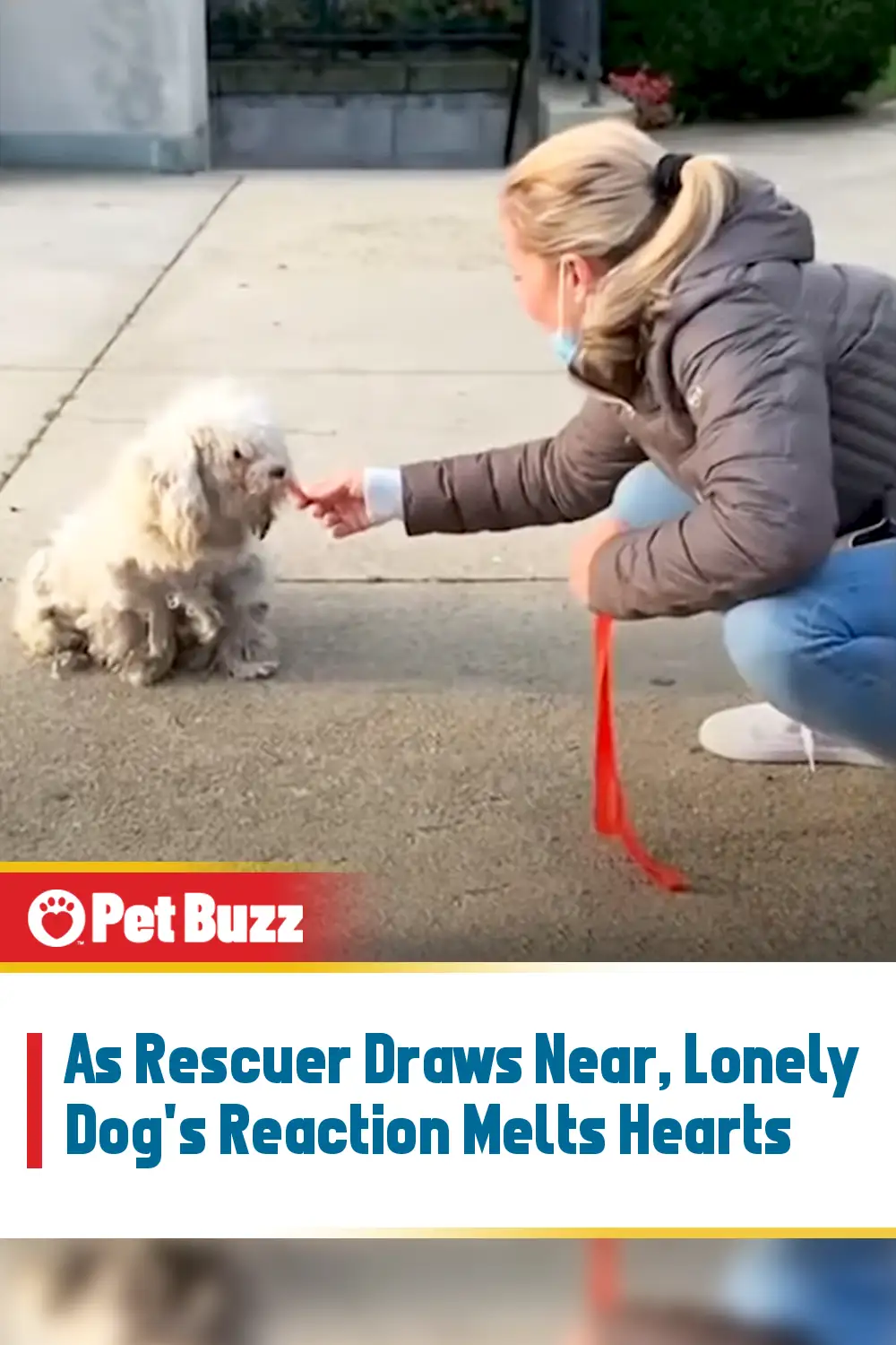 As Rescuer Draws Near, Lonely Dog\'s Reaction Melts Hearts