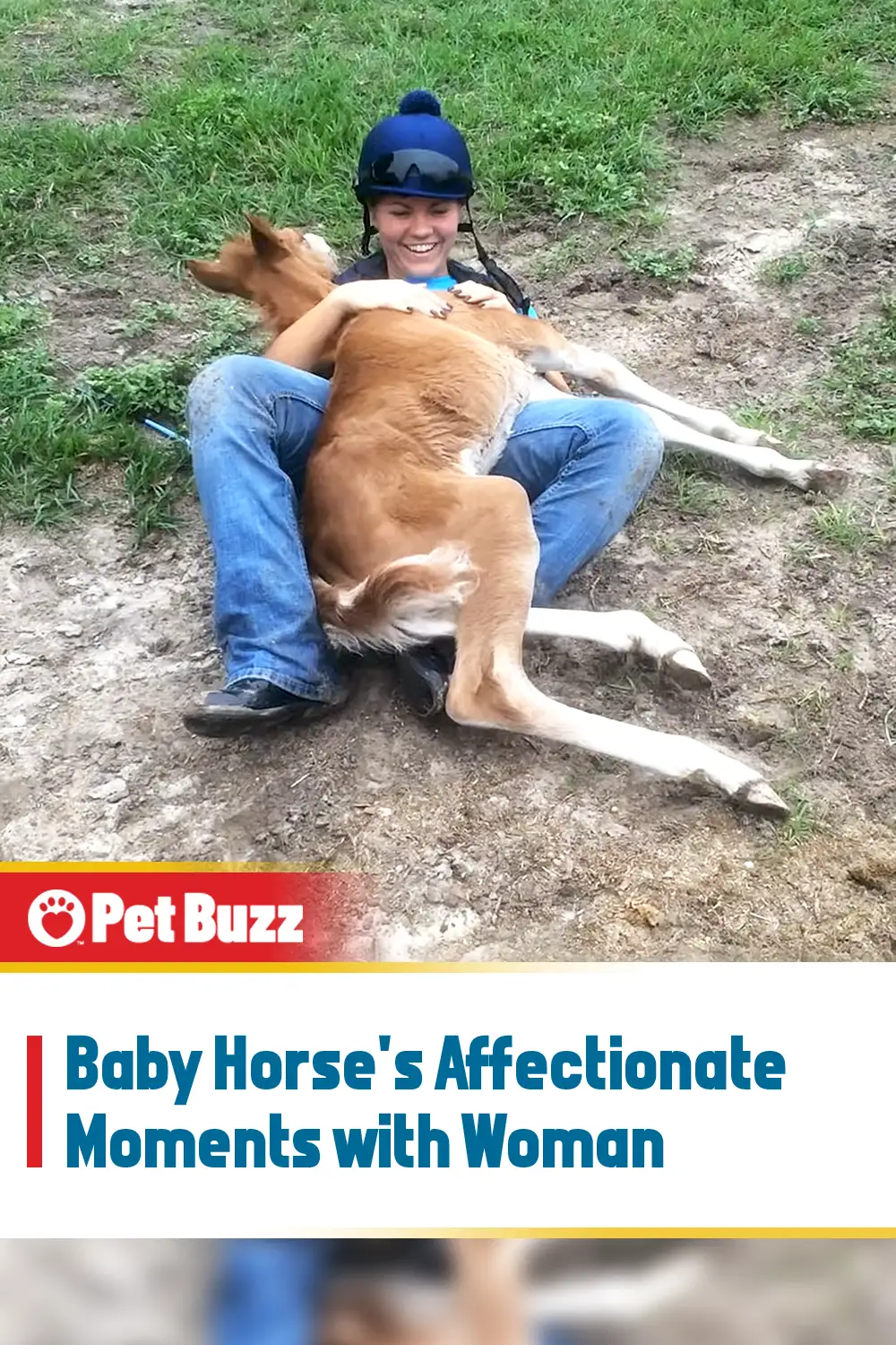 Baby Horse\'s Affectionate Moments with Woman
