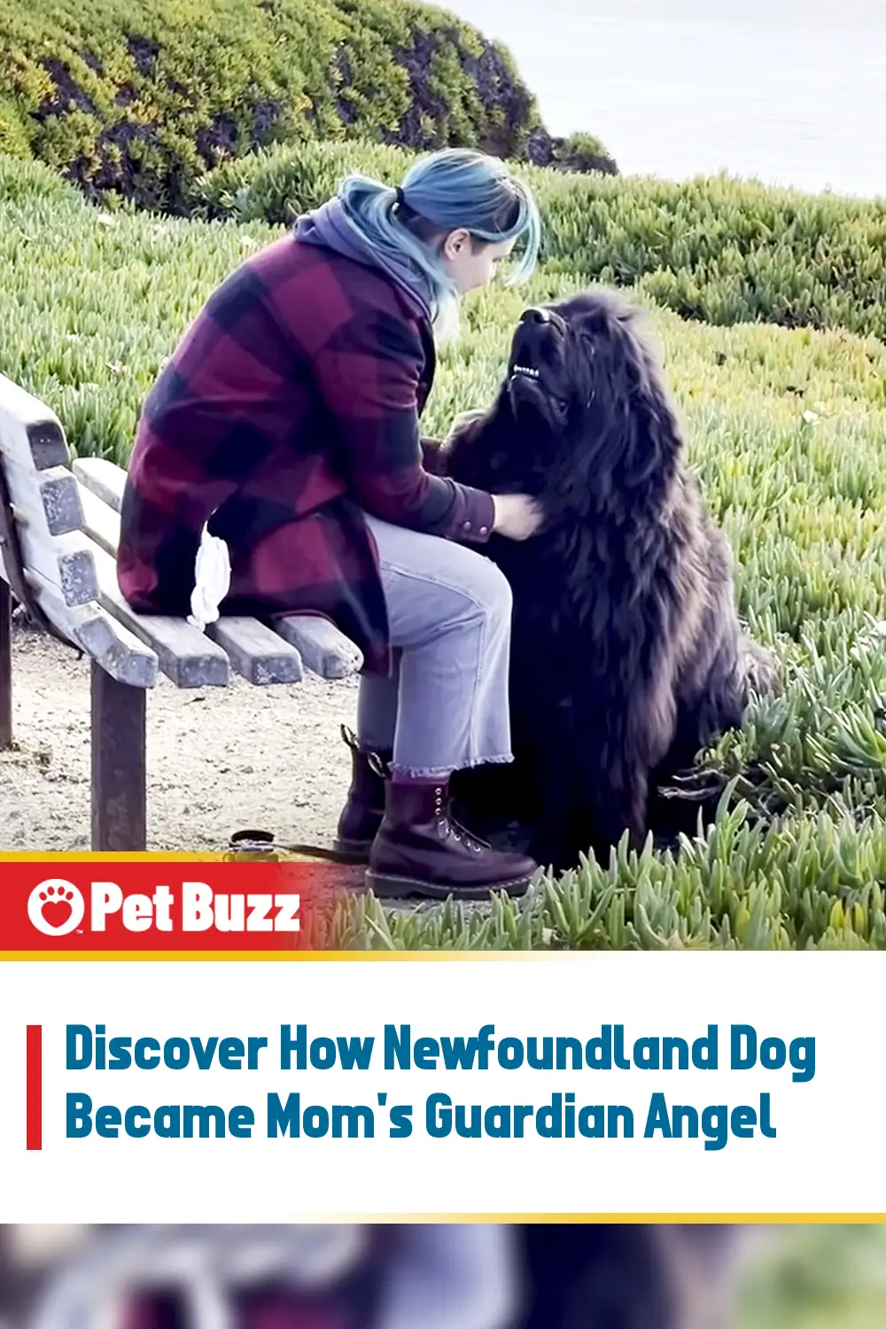 Discover How Newfoundland Dog Became Mom\'s Guardian Angel