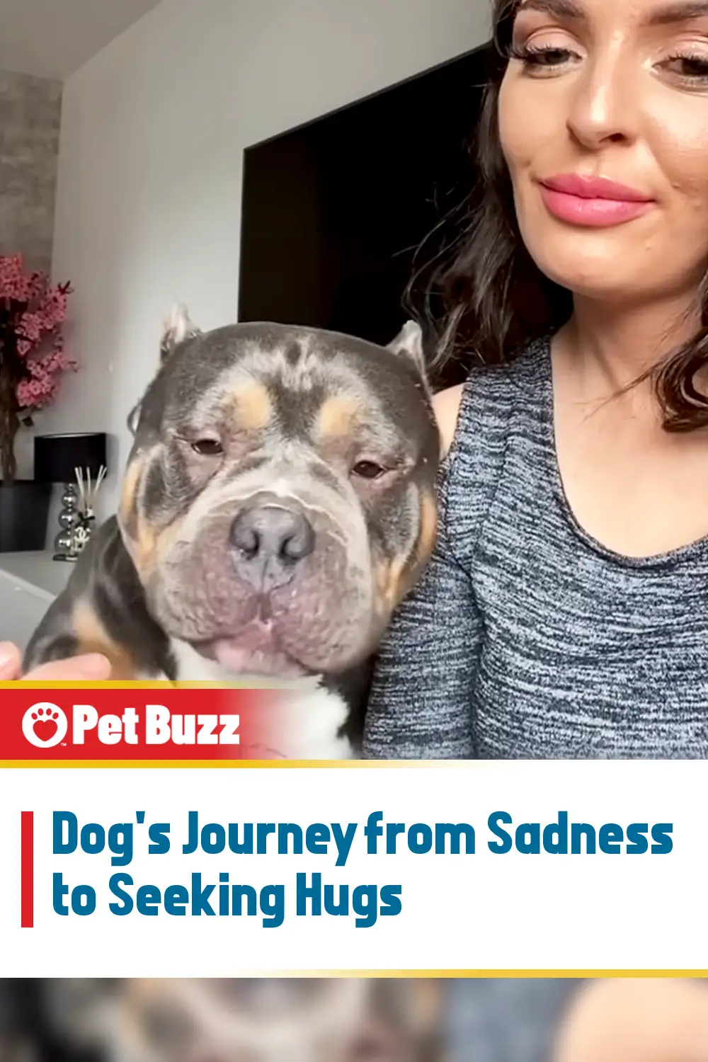 Dog\'s Journey from Sadness to Seeking Hugs
