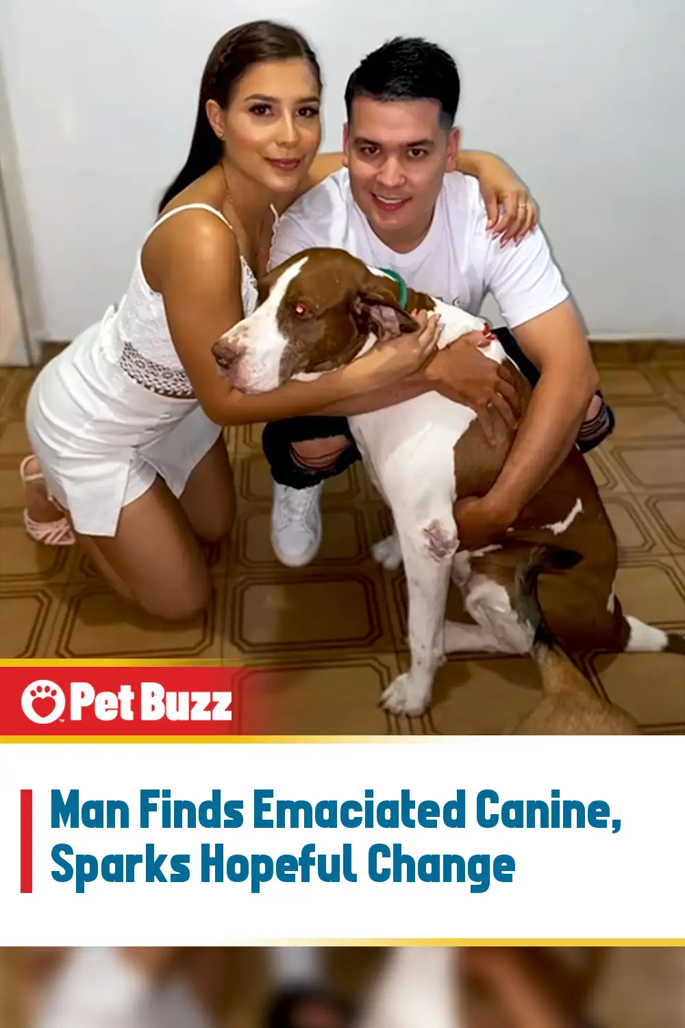 Man Finds Emaciated Canine, Sparks Hopeful Change