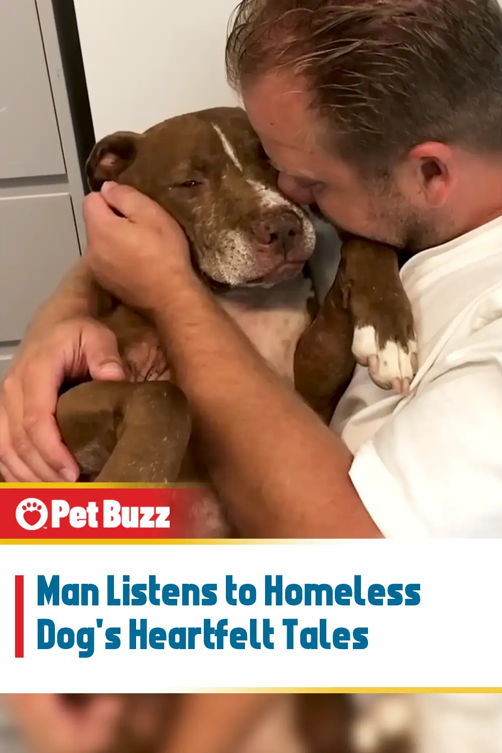 Man Listens to Homeless Dog\'s Heartfelt Tales
