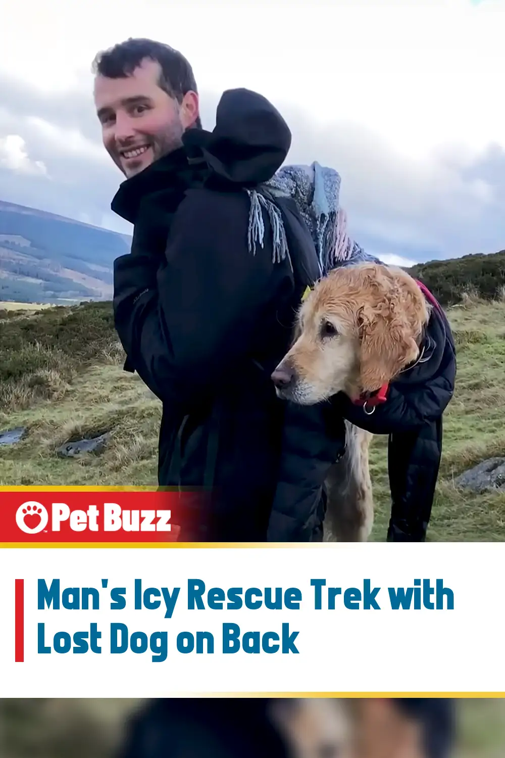 Man\'s Icy Rescue Trek with Lost Dog on Back