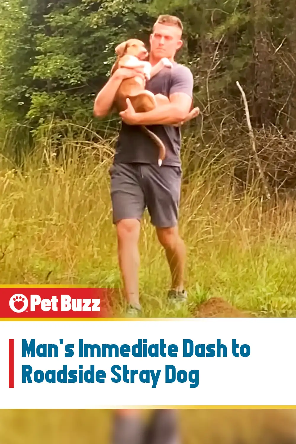 Man\'s Immediate Dash to Roadside Stray Dog