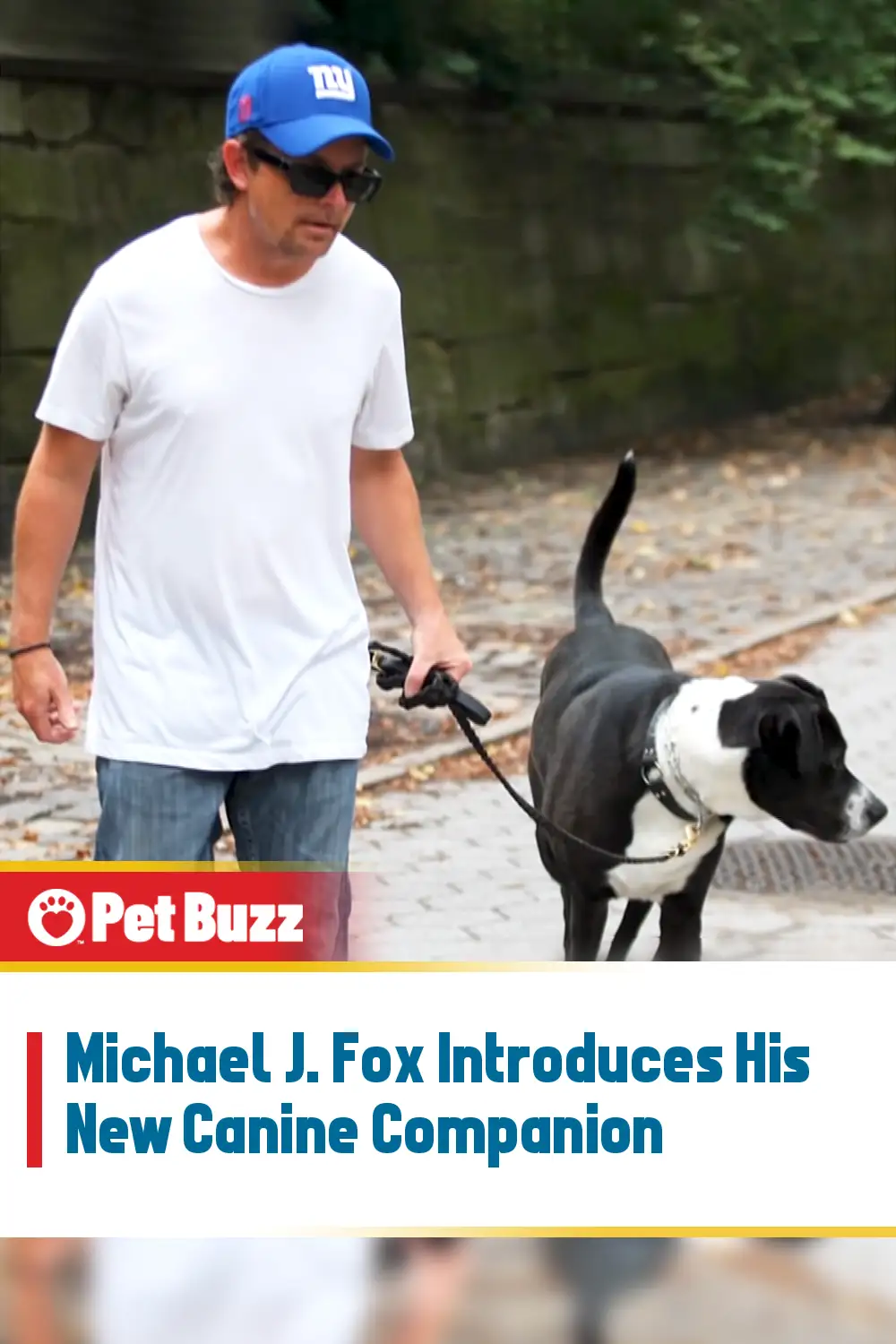 Michael J. Fox Introduces His New Canine Companion