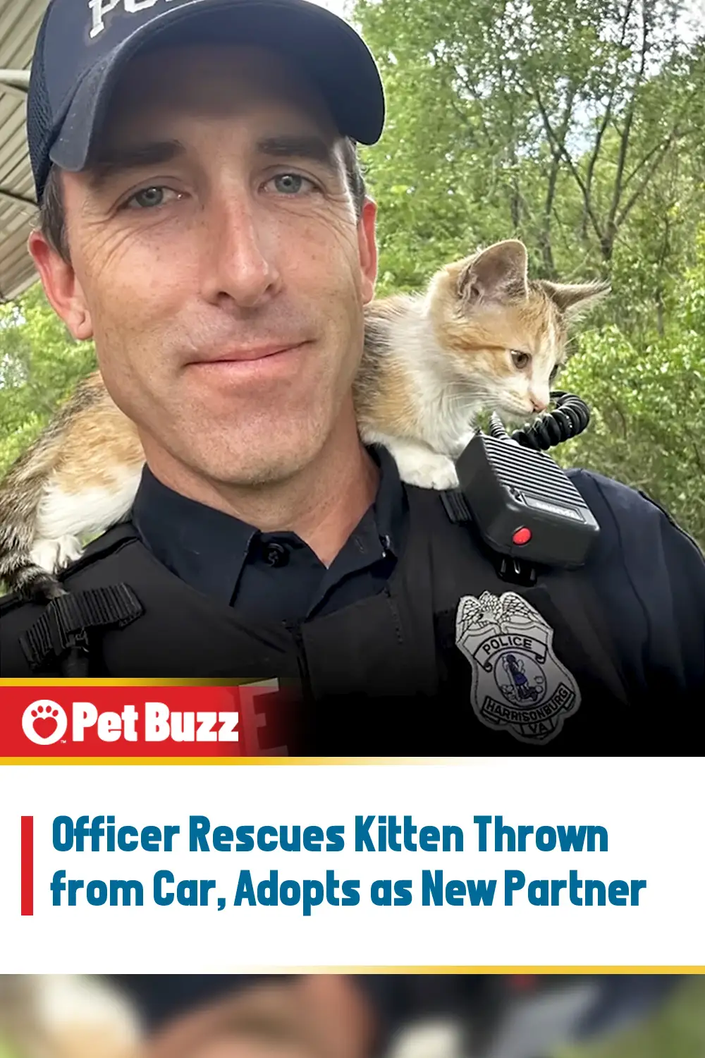 Officer Rescues Kitten Thrown from Car, Adopts as New Partner