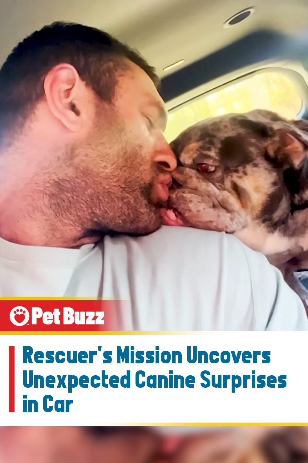 Rescuer\'s Mission Uncovers Unexpected Canine Surprises in Car