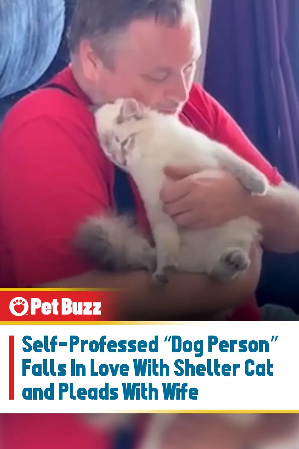 Self-Professed “Dog Person” Falls In Love With Shelter Cat and Pleads With Wife