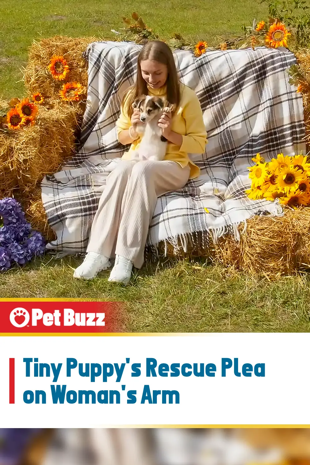 Tiny Puppy\'s Rescue Plea on Woman\'s Arm