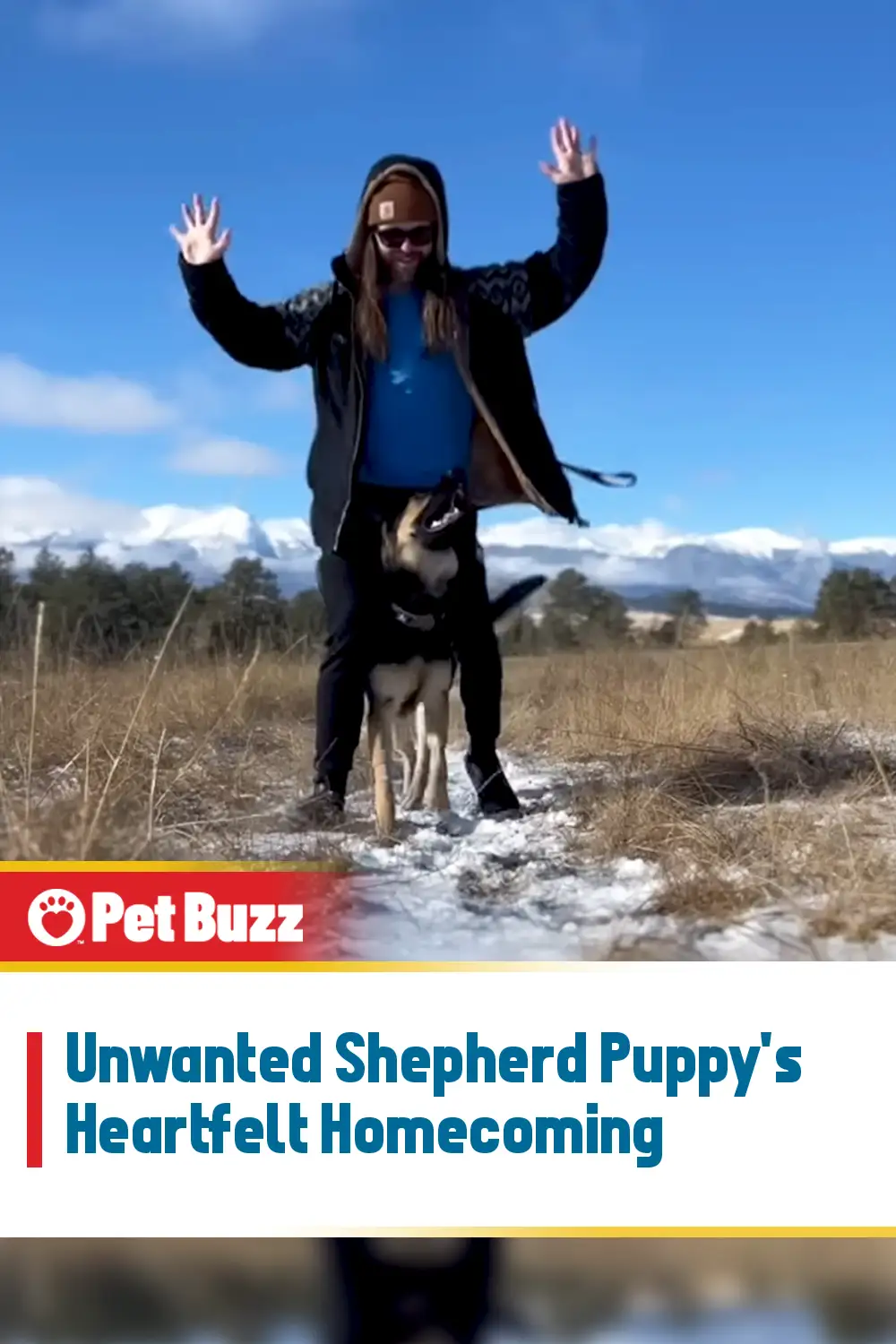 Unwanted Shepherd Puppy\'s Heartfelt Homecoming