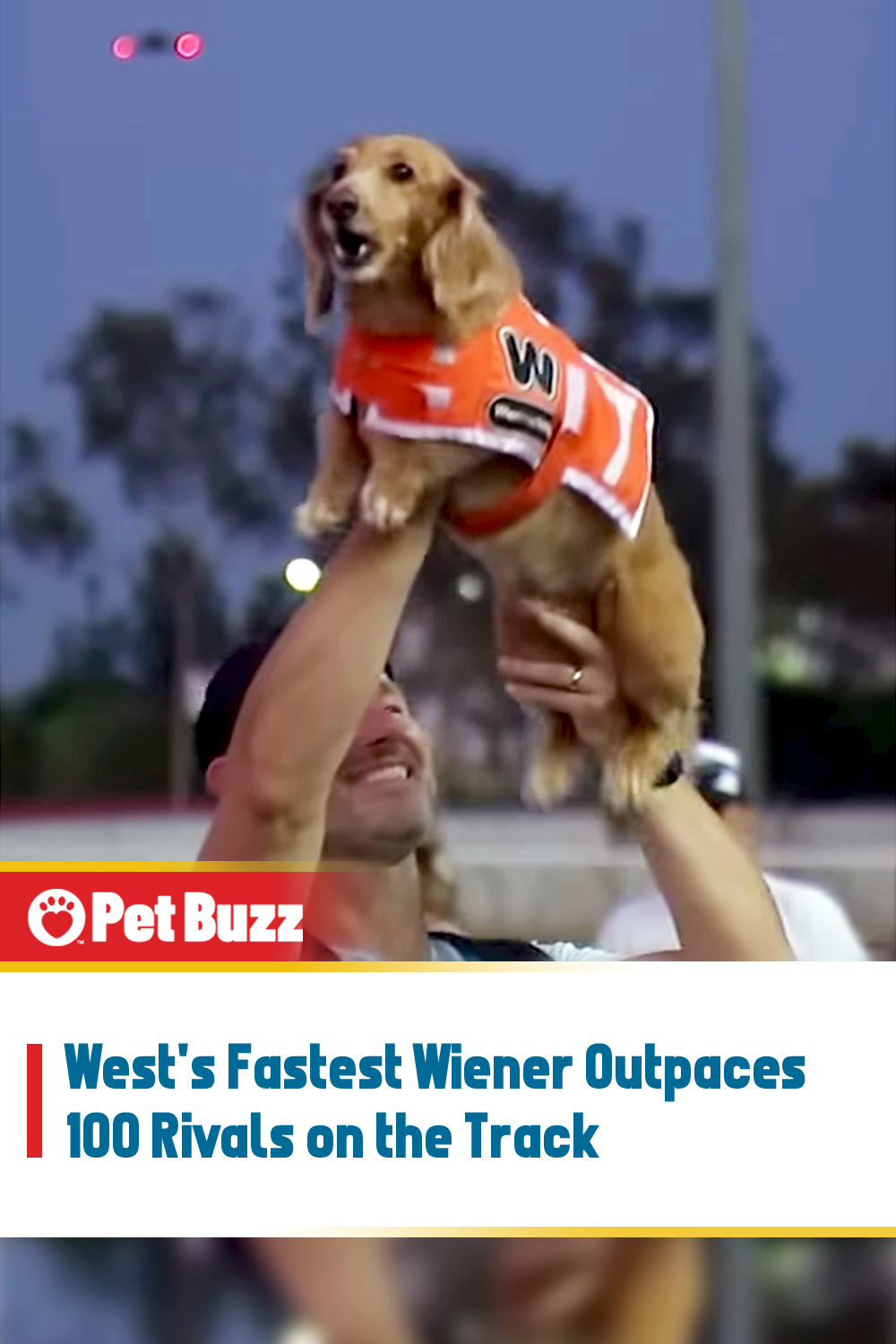 West\'s Fastest Wiener Outpaces 100 Rivals on the Track