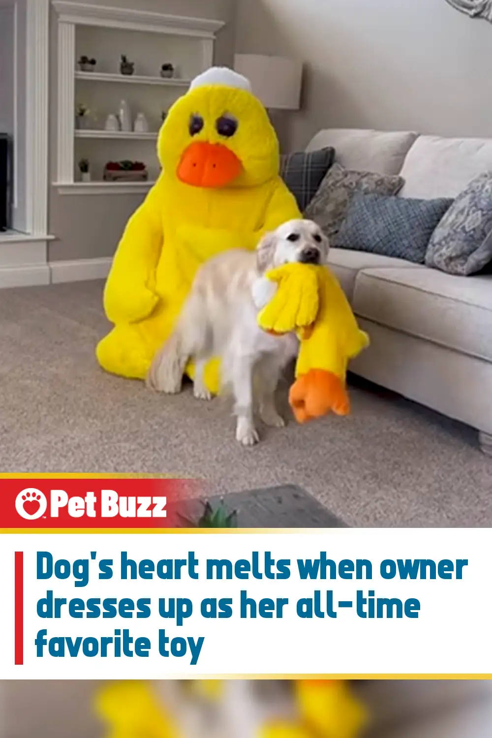 Dog\'s heart melts when owner dresses up as her all-time favorite toy
