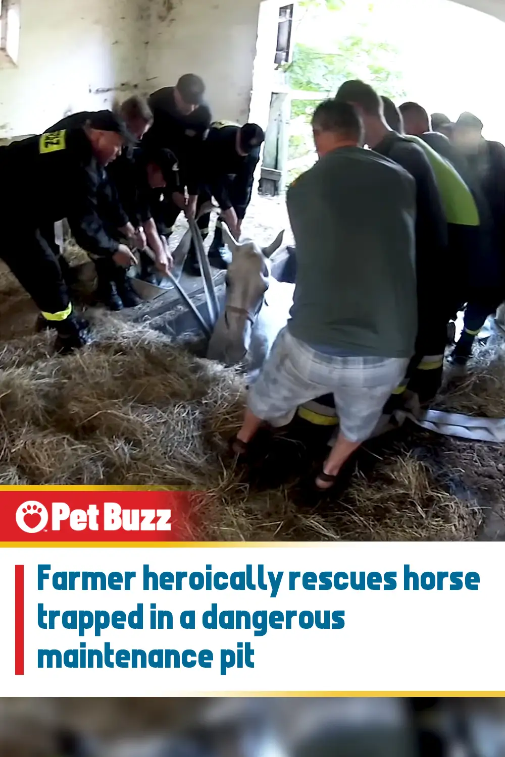 Farmer heroically rescues horse trapped in a dangerous maintenance pit