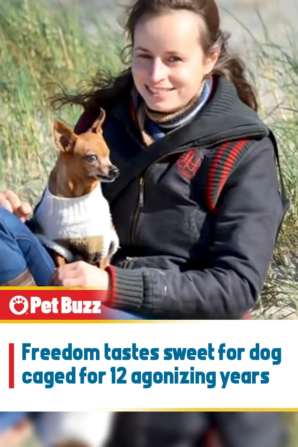 Freedom tastes sweet for dog caged for 12 agonizing years