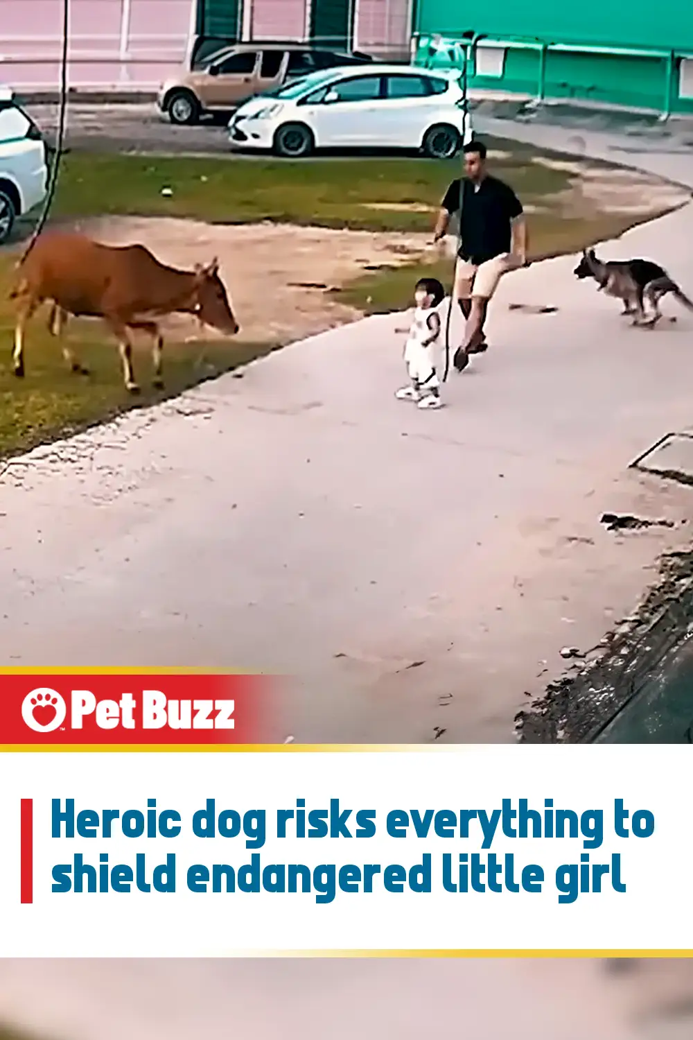 Heroic dog risks everything to shield endangered little girl